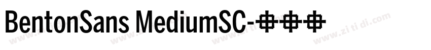 BentonSans MediumSC字体转换